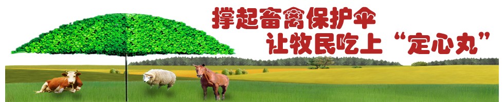 畜牧医保