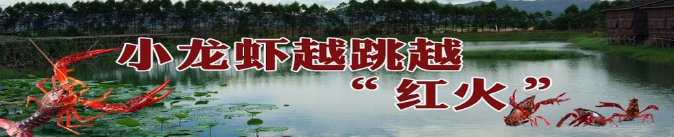 小龙虾价格,小龙虾美食, 价格上涨 小龙虾越跳越欢