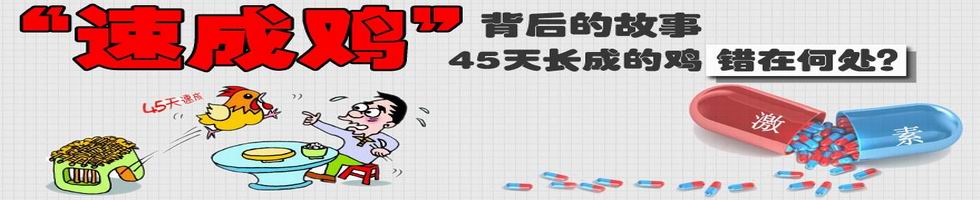 速成鸡,肯德基速成鸡,麦当劳问题鸡,六和集团,“速成鸡”背后的故事