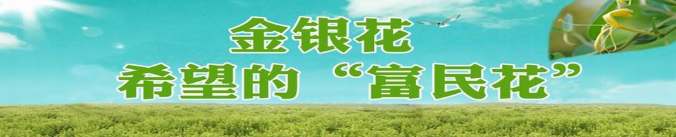 金银花种植技术,金银花加工技术,金银花希望的“富民花”